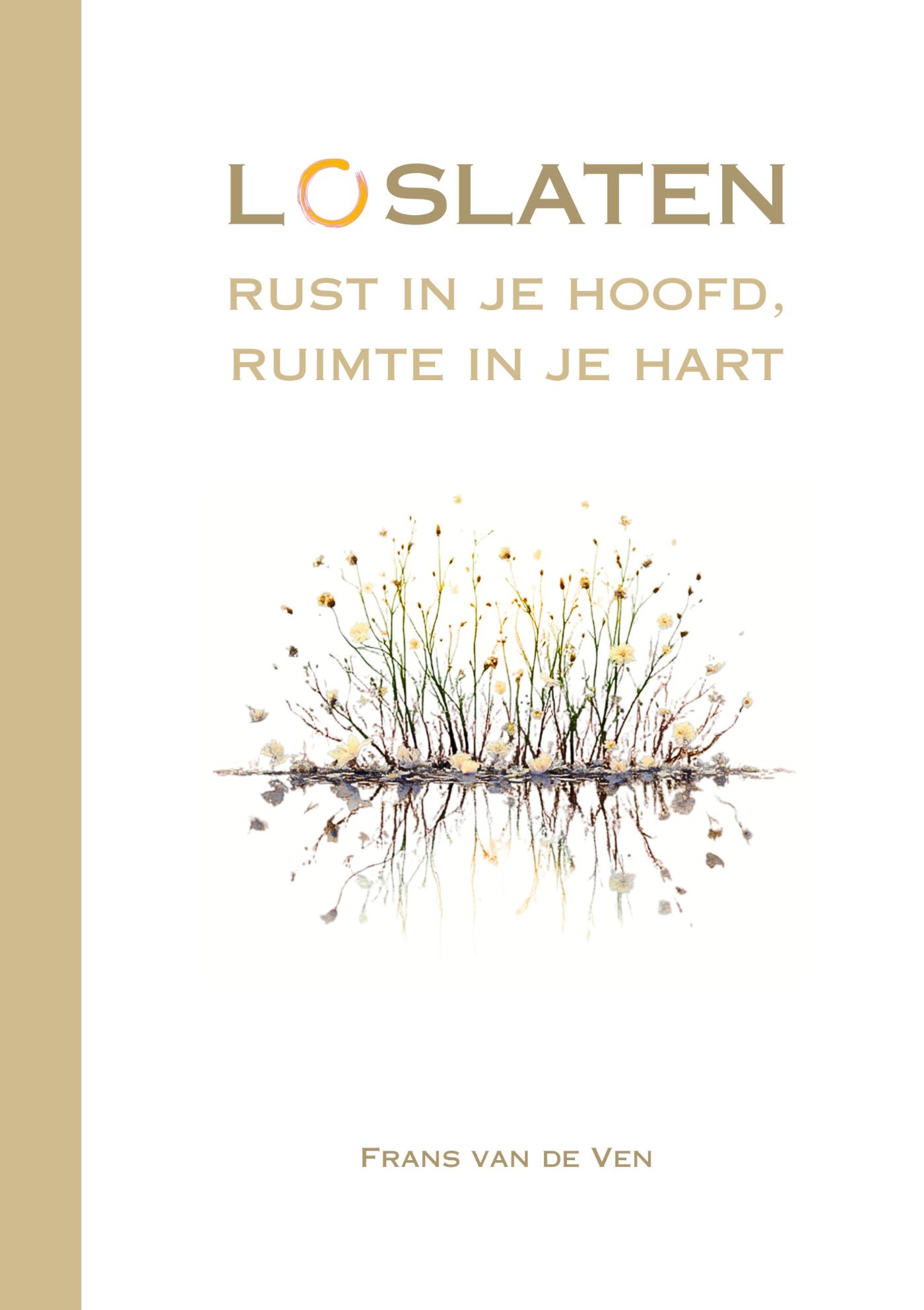 Omslag van Loslaten