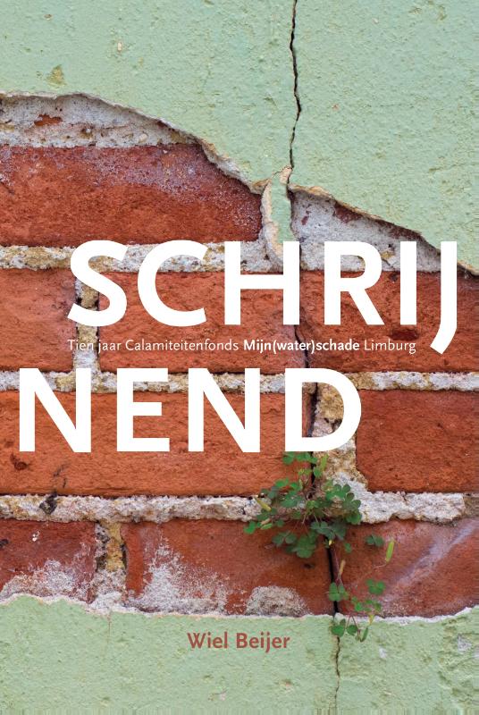 Omslag van Schrijnend