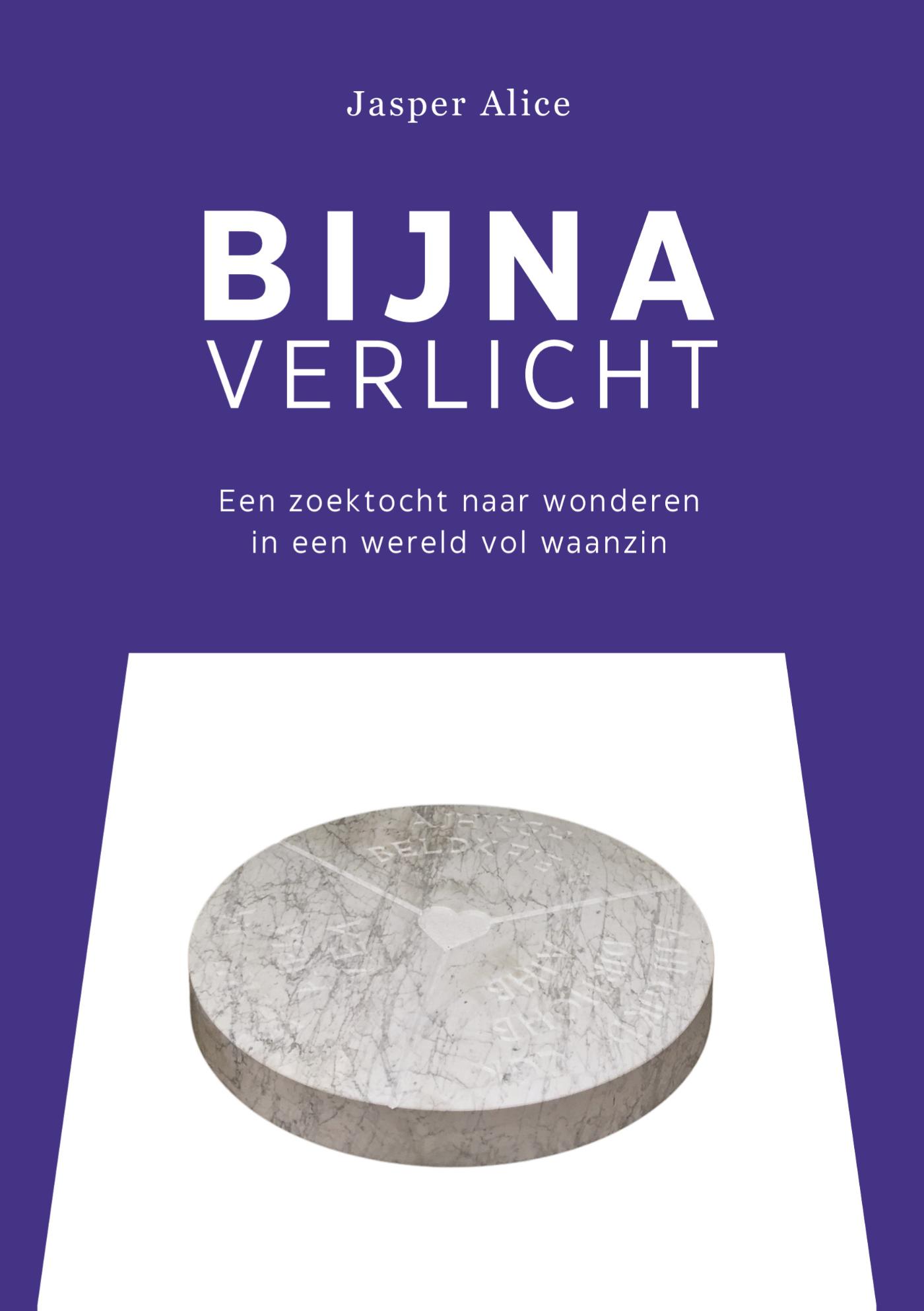 Omslag van Bijna verlicht