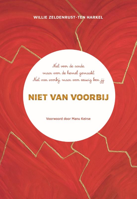 Omslag van Niet van voorbij