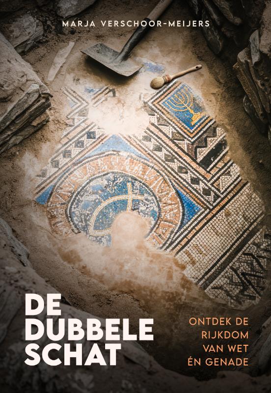 Omslag van De dubbele schat
