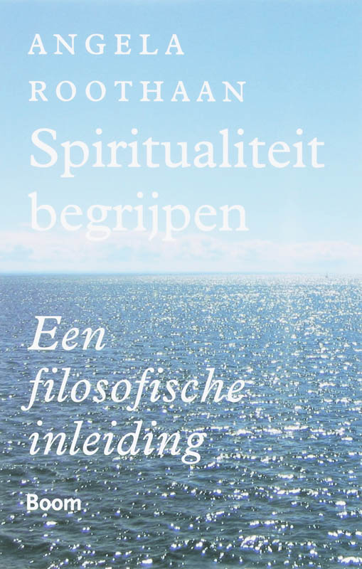 Omslag van Spiritualiteit begrijpen