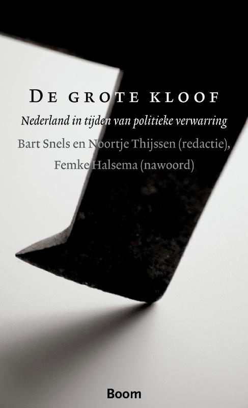 Omslag van De grote kloof