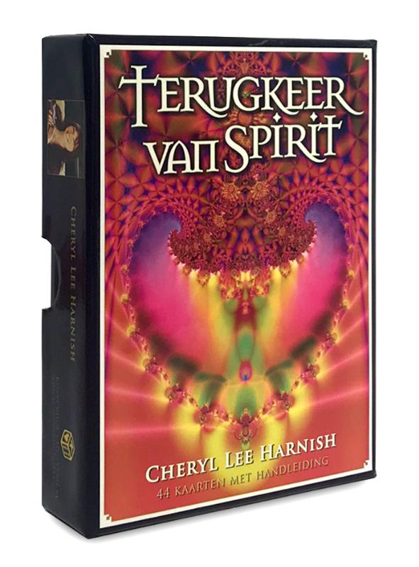 Omslag van Terugkeer van Spirit