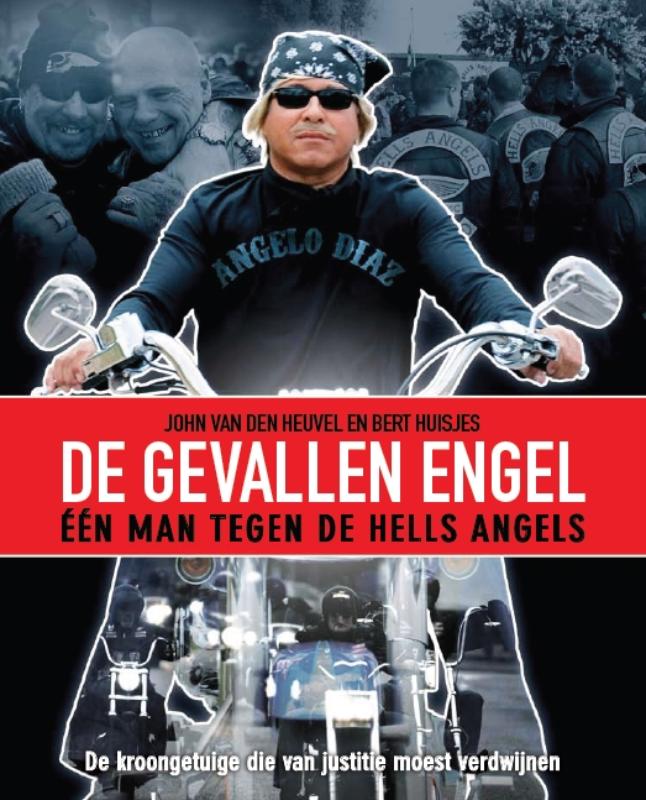 Omslag van De gevallen engel