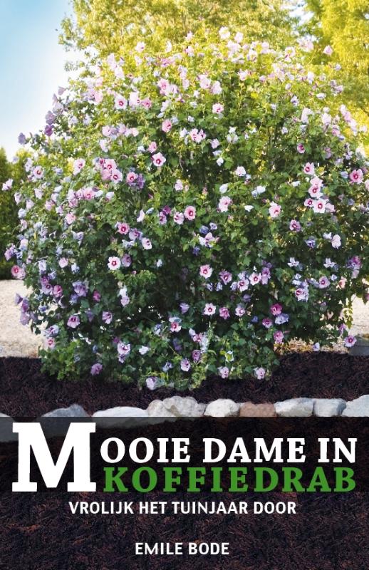 Omslag van Mooie Dame in Koffiedrab