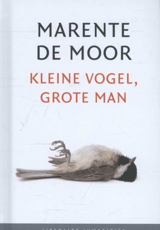 Omslag van Kleine vogel, grote man