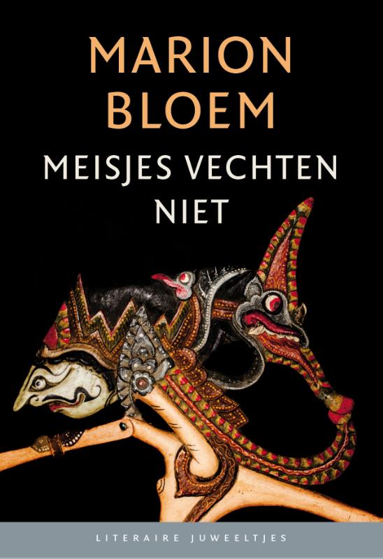 Omslag van Meisjes vechten niet set 10ex.