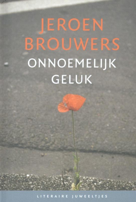 Omslag van Onnoemelijk geluk