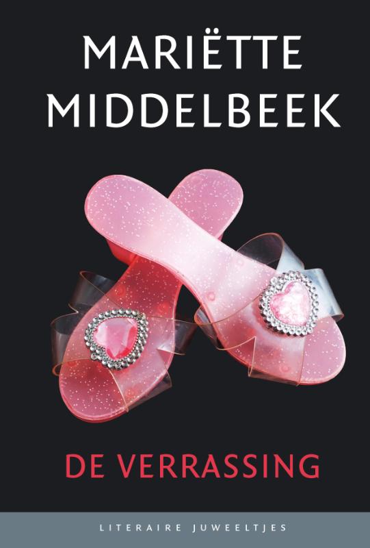 Omslag van De verrassing