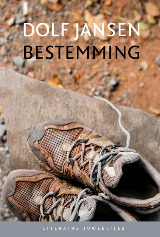Omslag van Bestemming (set van 10)