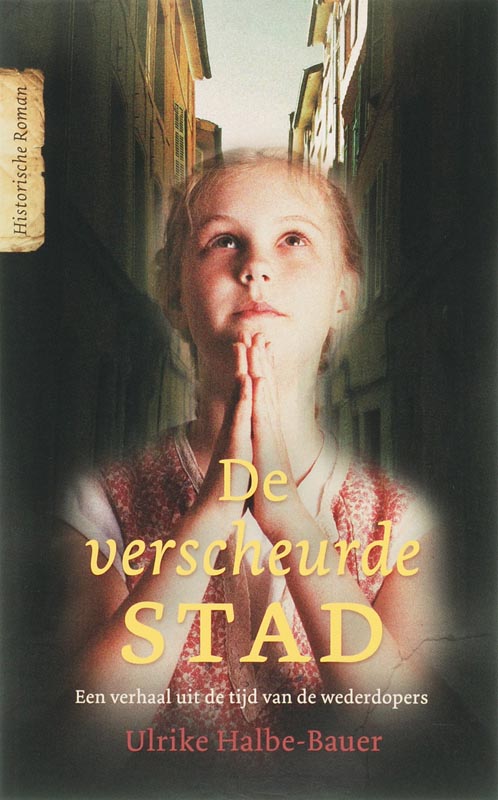 Omslag van De verscheurde stad