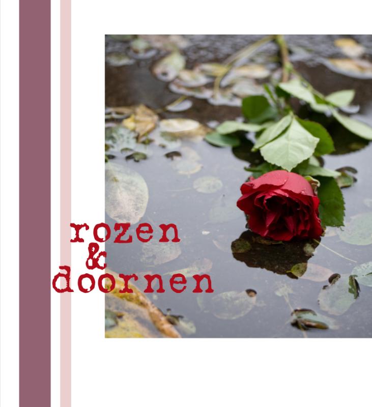 Omslag van Rozen & doornen