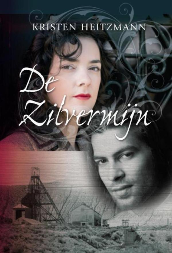 Omslag van De zilvermijn