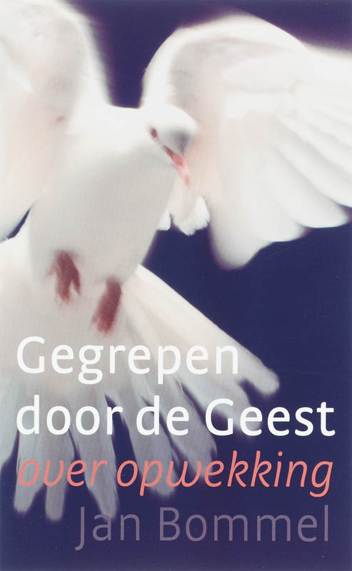 Omslag van Gegrepen door de Geest