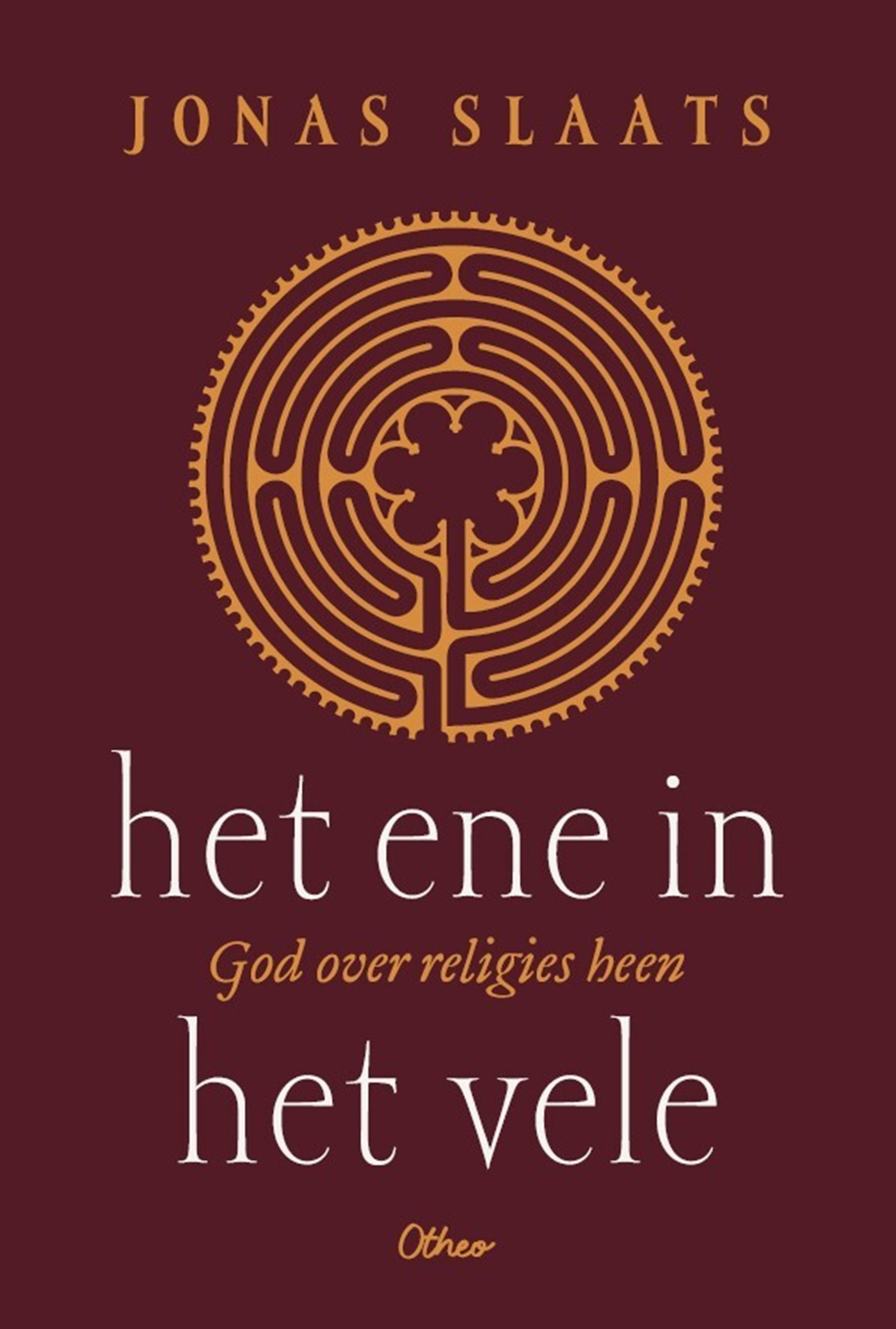 Omslag van Het ene in het vele
