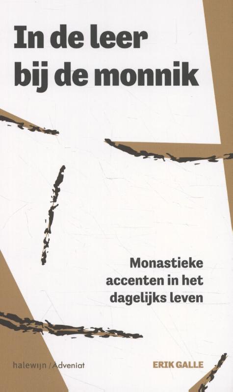 Omslag van In de leer bij de monnik