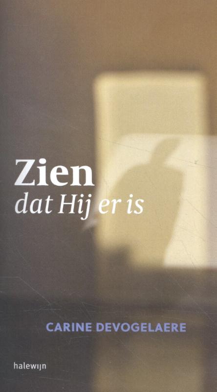 Omslag van Zien dat Hij er is