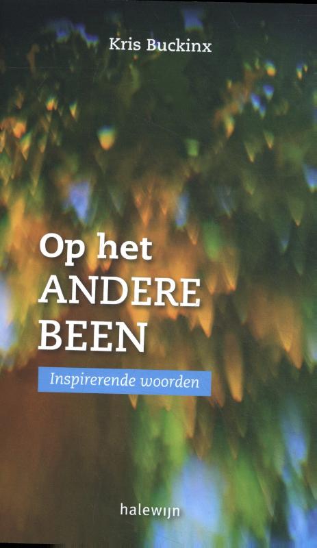 Omslag van Op het andere been