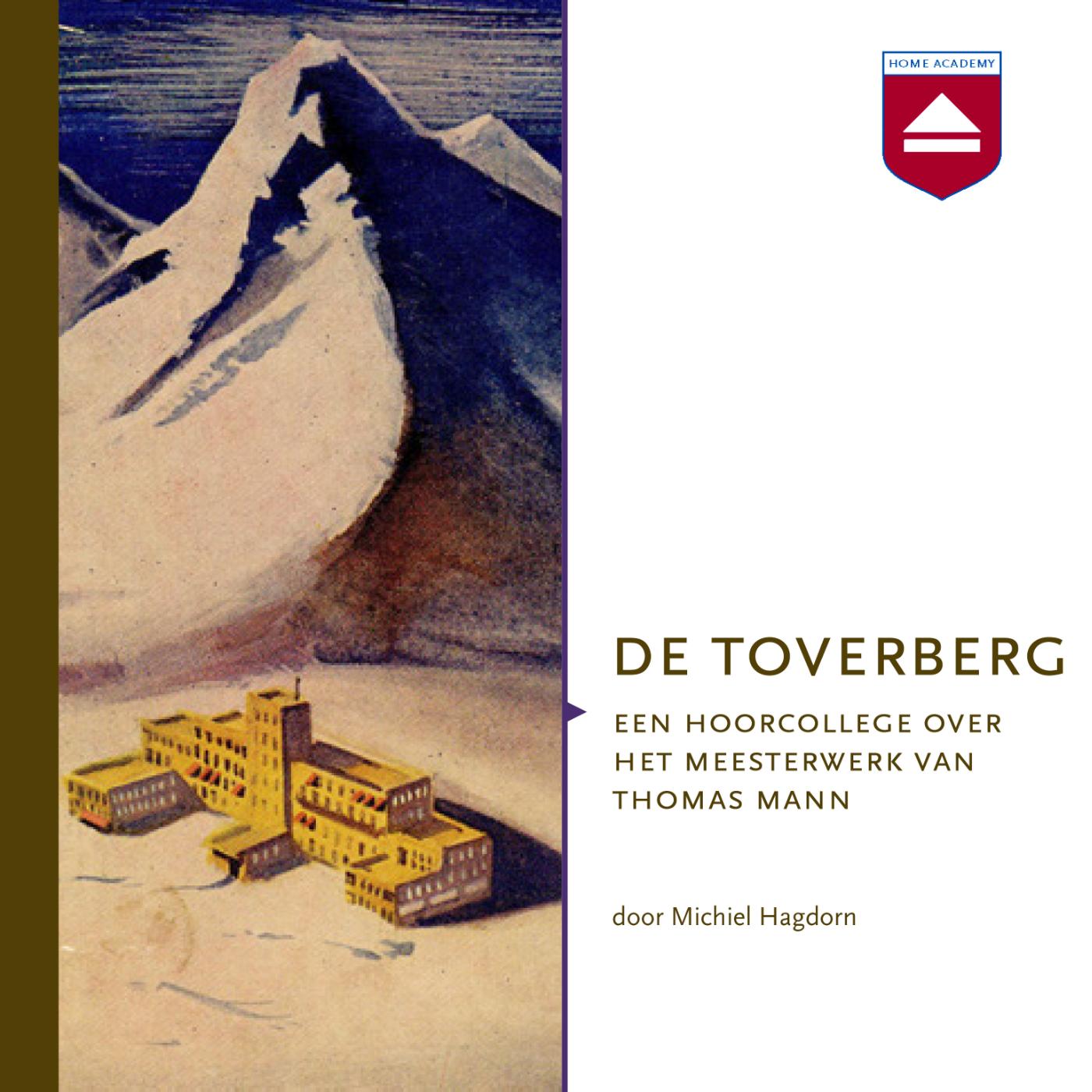Omslag van De Toverberg
