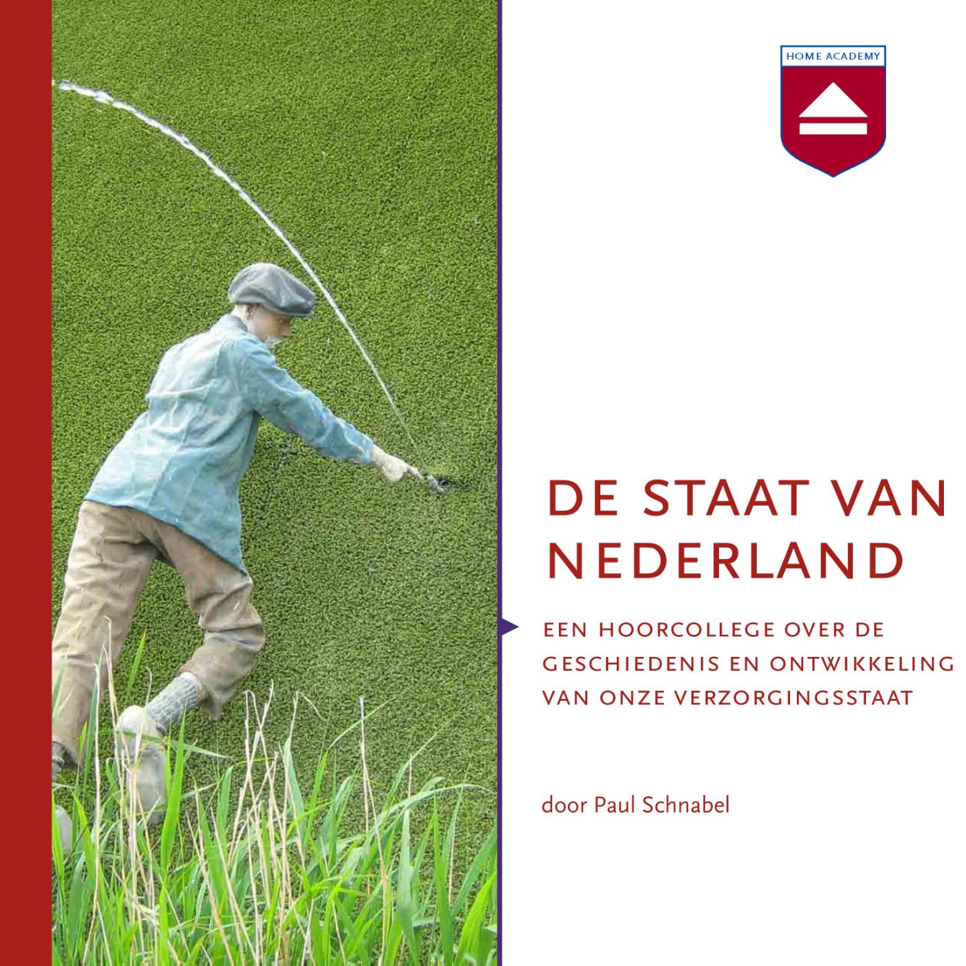 Omslag van De staat van Nederland