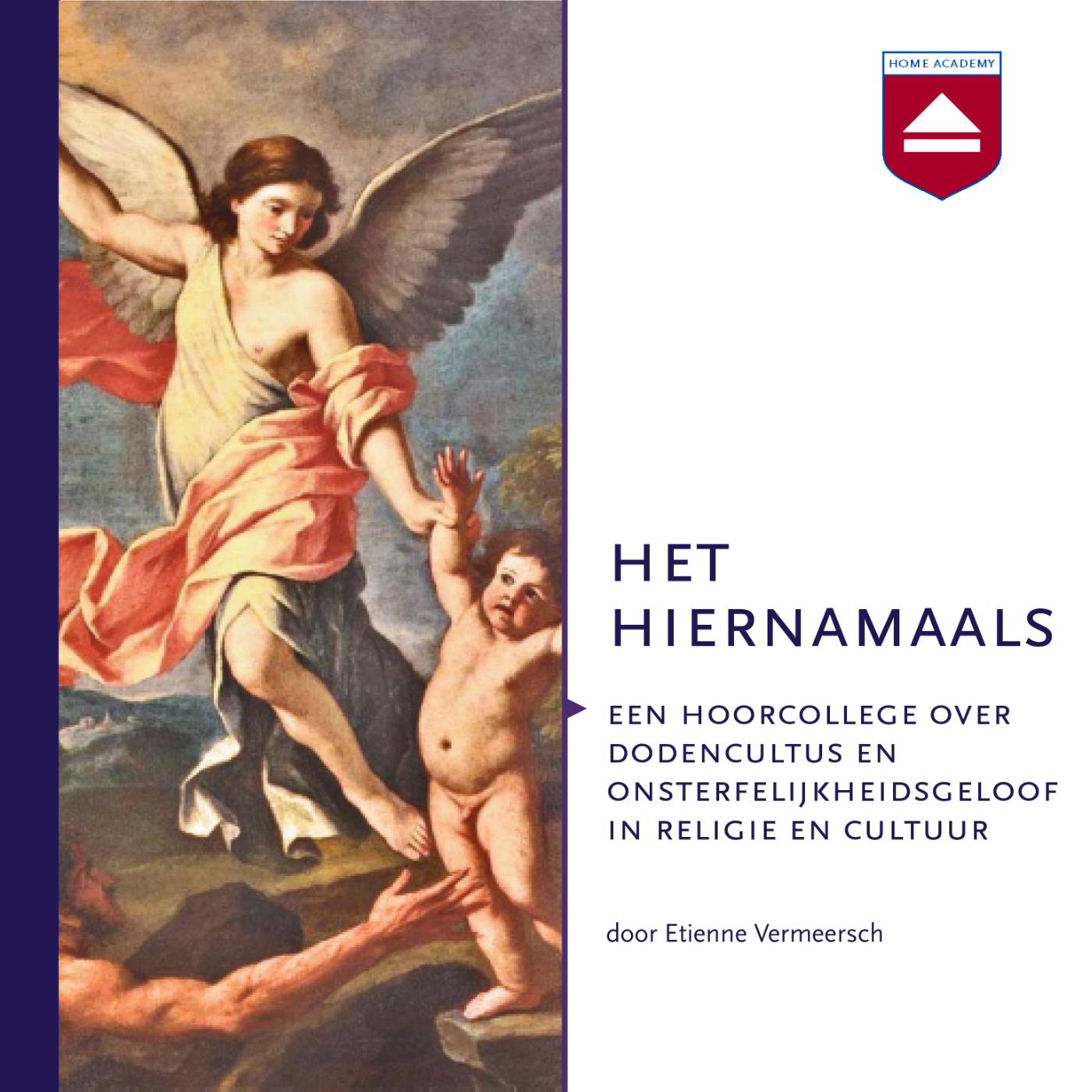 Omslag van Het hiernamaals