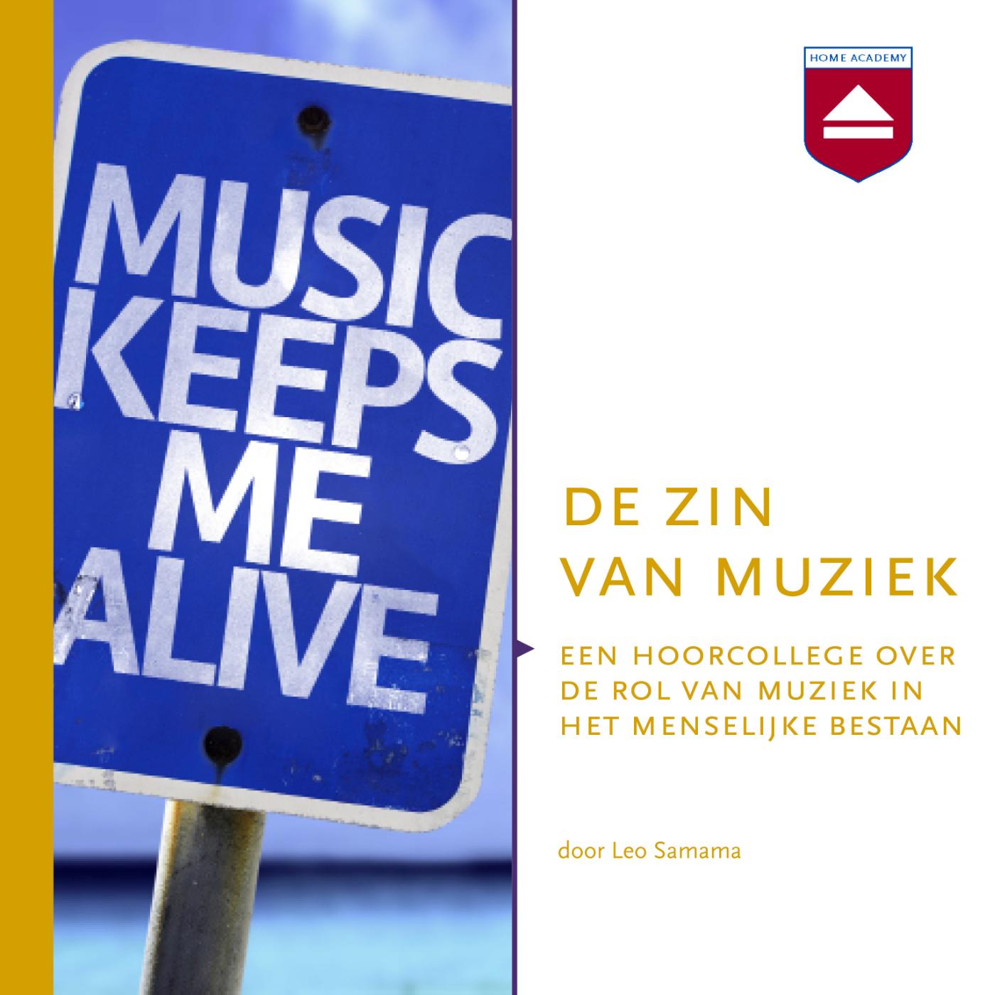 Omslag van De zin van muziek