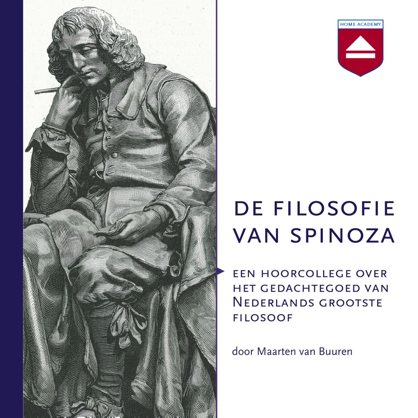Omslag van De filosofie van Spinoza