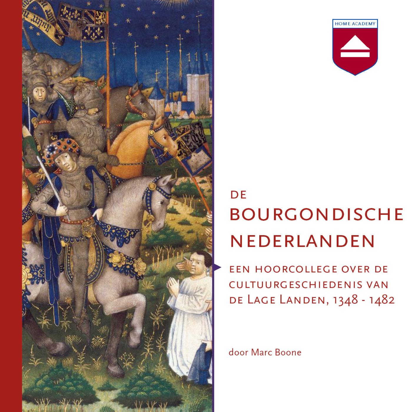 Omslag van De Bourgondische Nederlanden