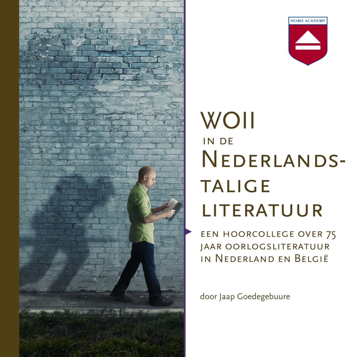 Omslag van WOII in de Nederlandstalige literatuur
