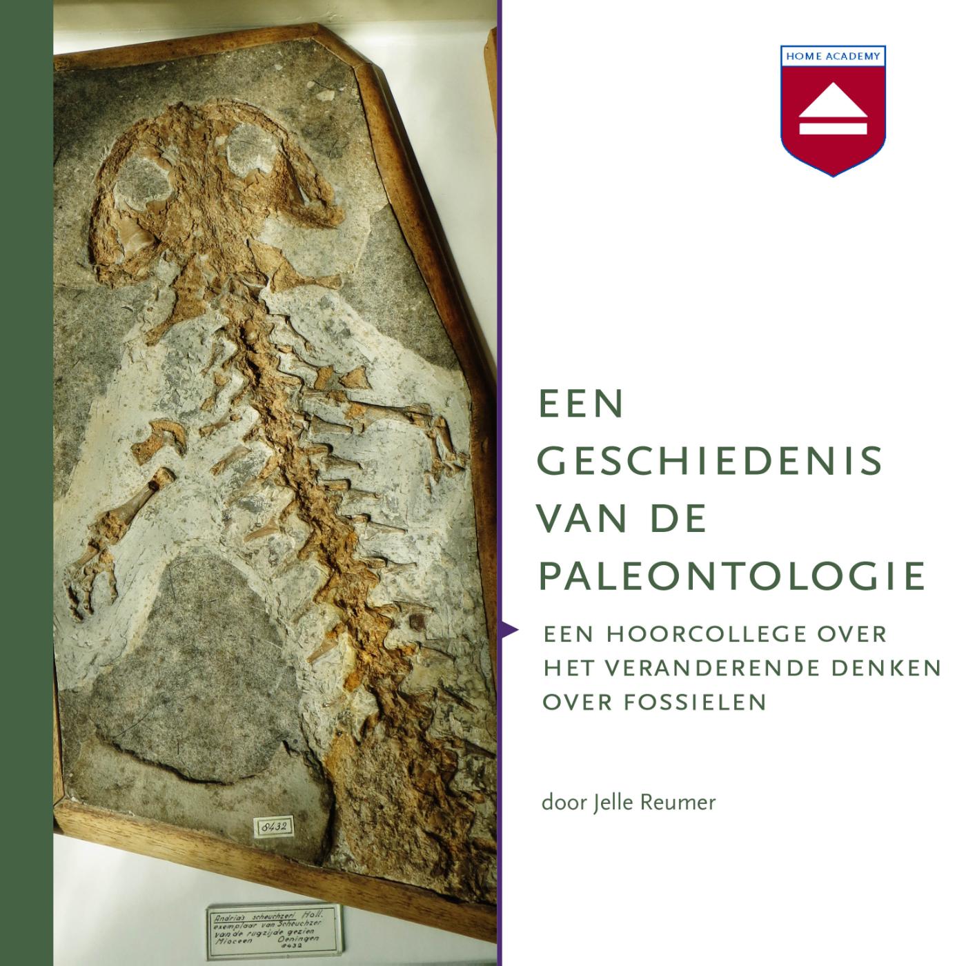 Omslag van Een geschiedenis van de paleontologie
