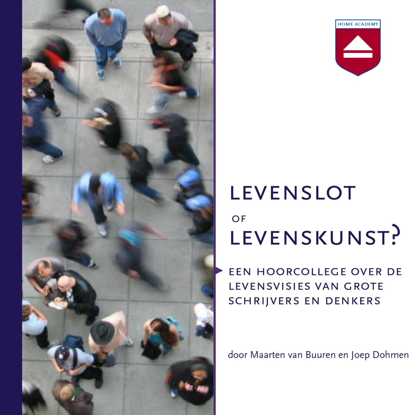 Omslag van Levenslot of levenskunst?