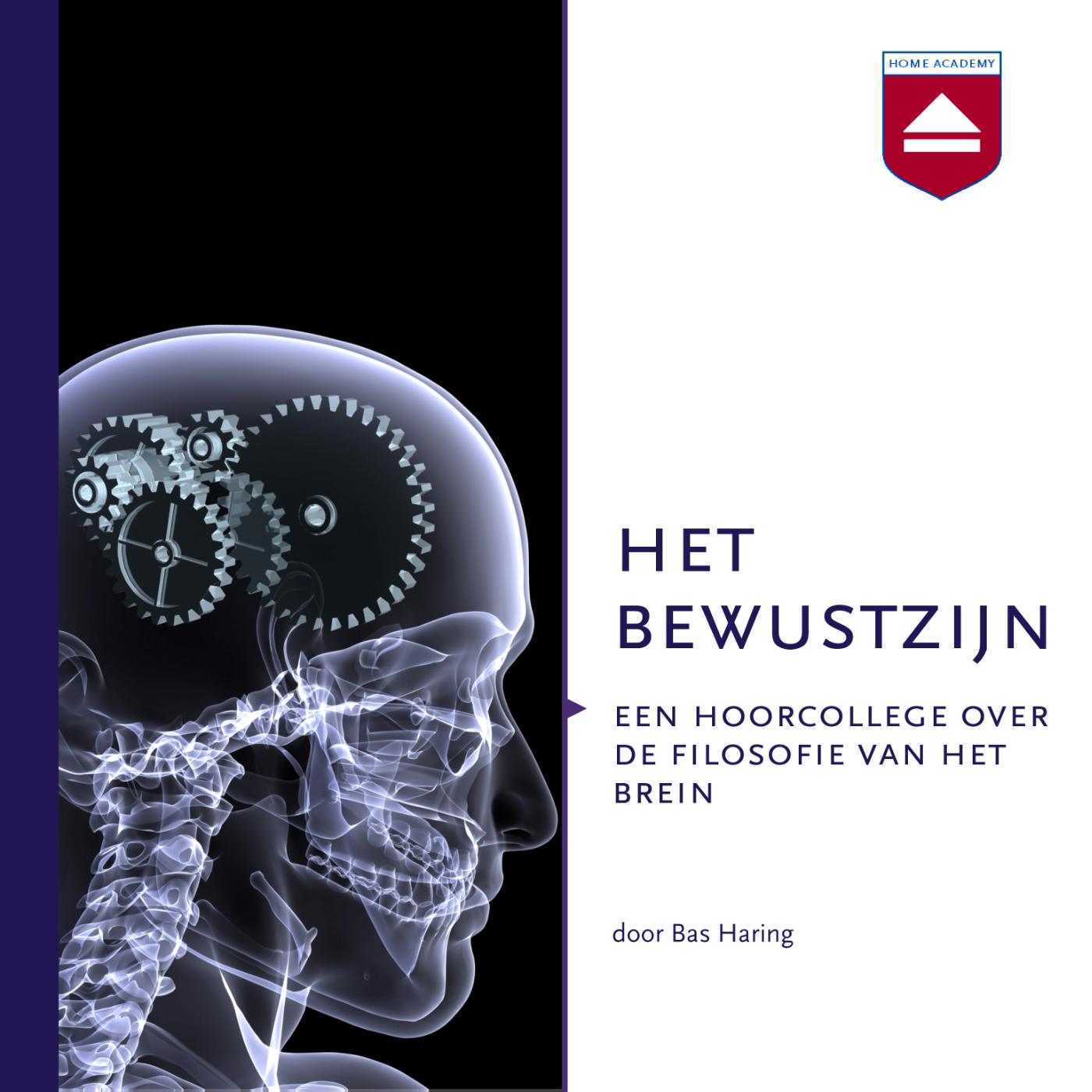 Omslag van Het Bewustzijn