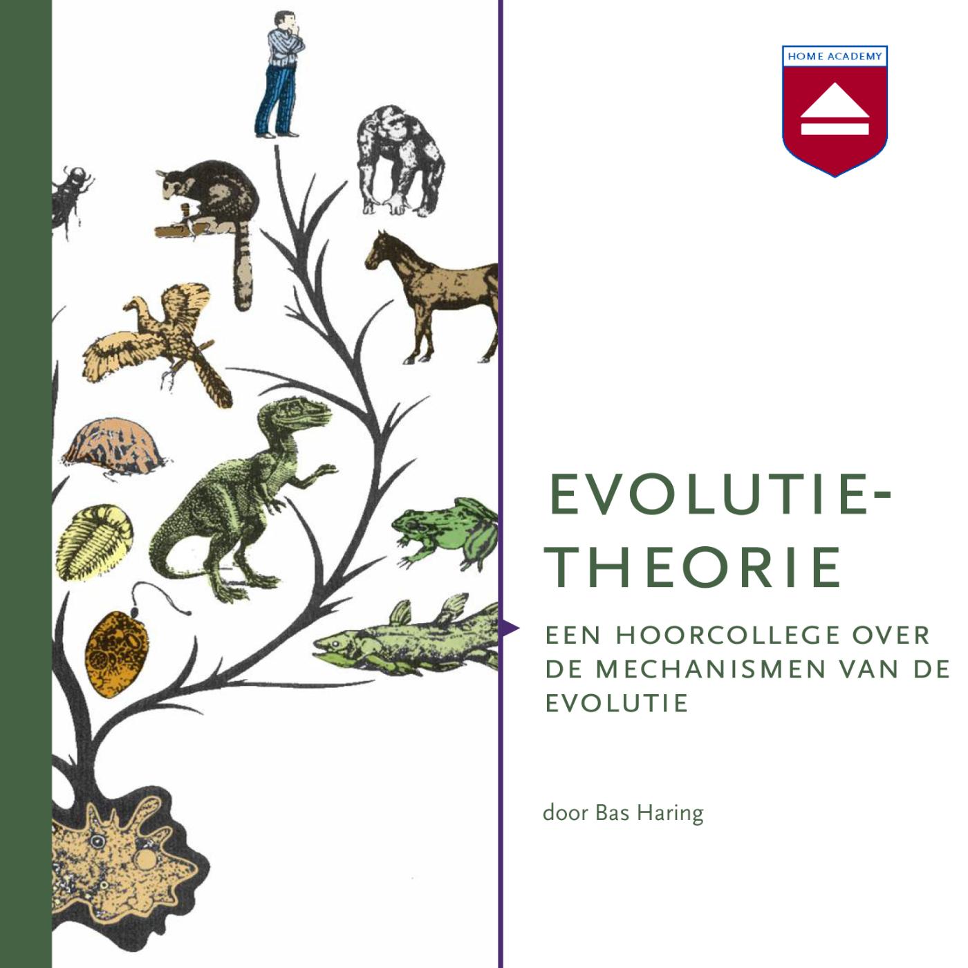 Omslag van Evolutietheorie