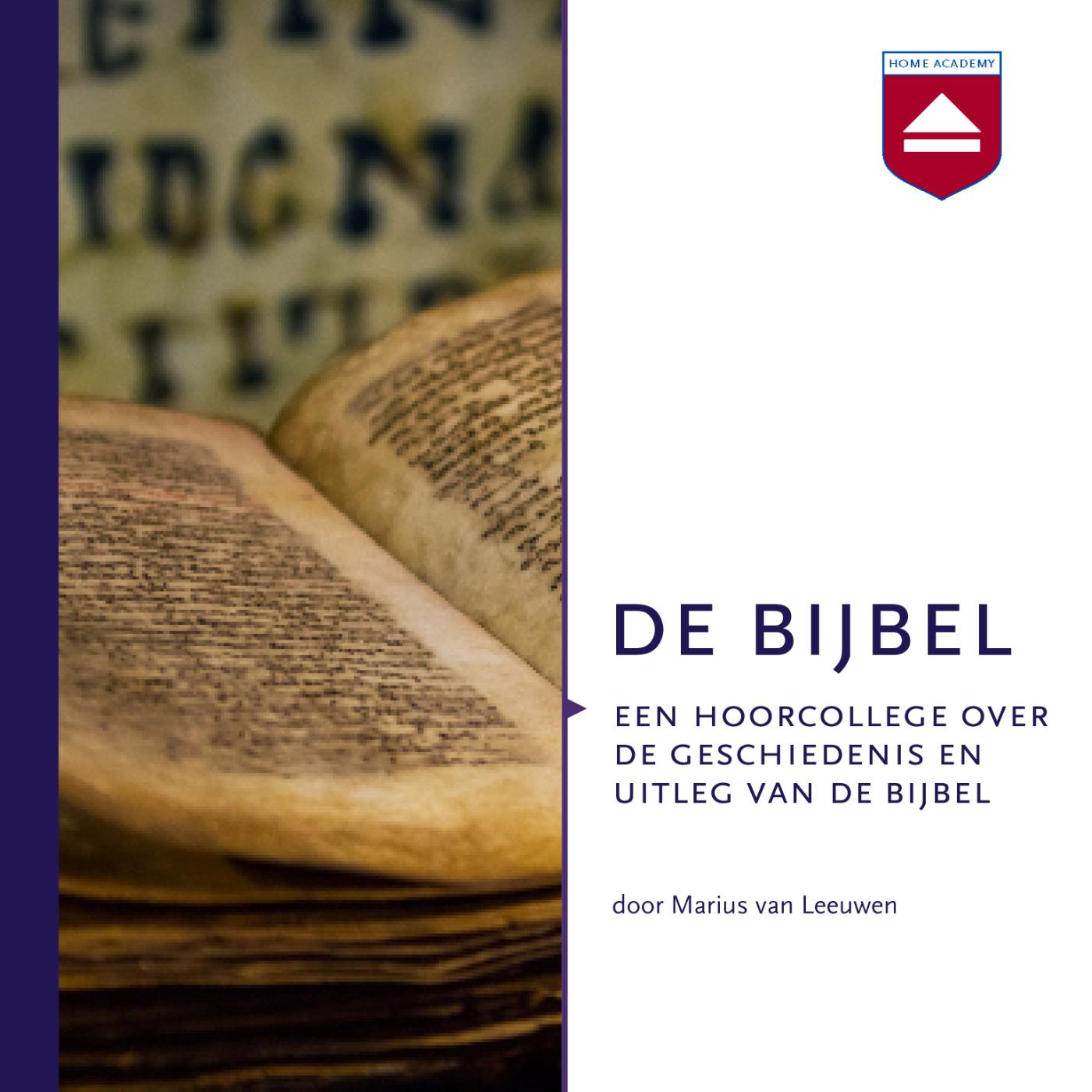 Omslag van De Bijbel