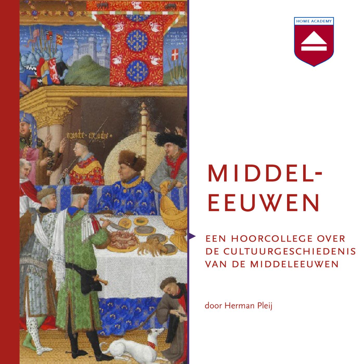 Omslag van Middeleeuwen