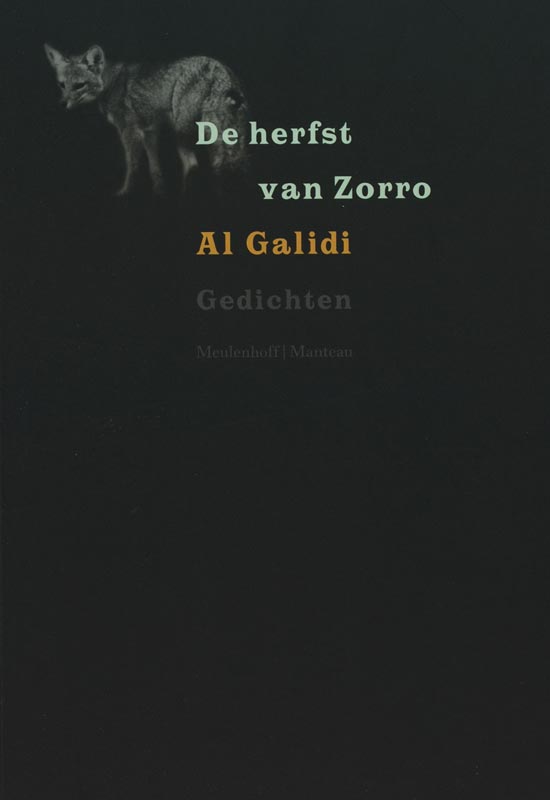 Omslag van De herfst van Zorro