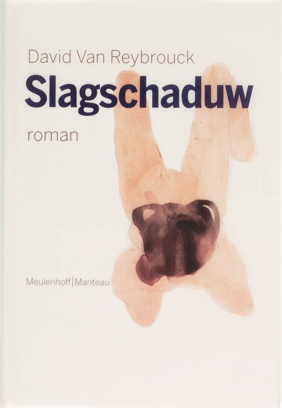 Omslag van Slagschaduw