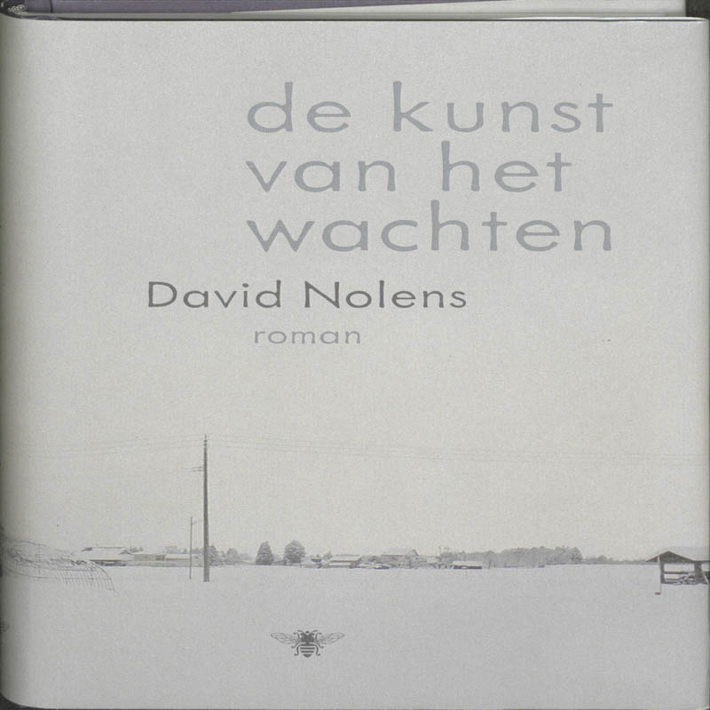 Omslag van De kunst van het wachten