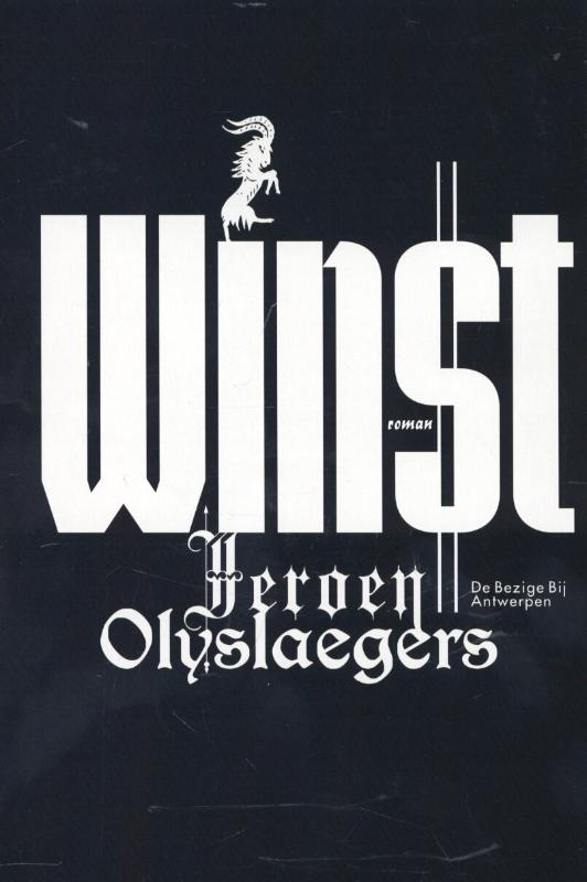 Omslag van Winst