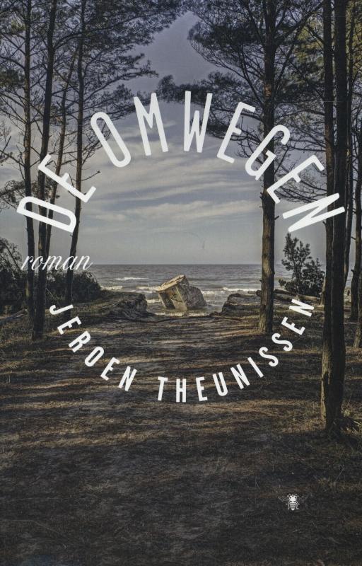 Omslag van De omwegen