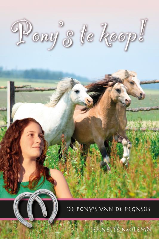 Omslag van Pony's te koop!