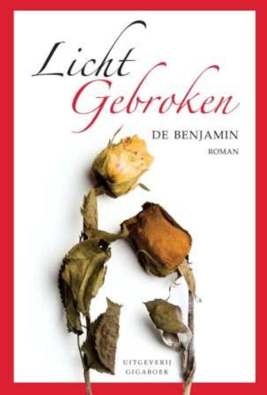 Omslag van Licht gebroken