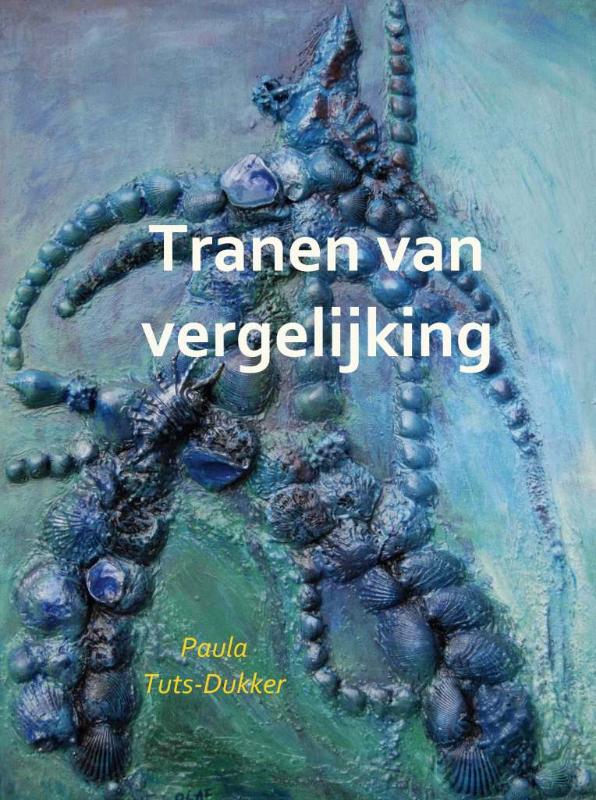 Omslag van Tranen van vergelijking