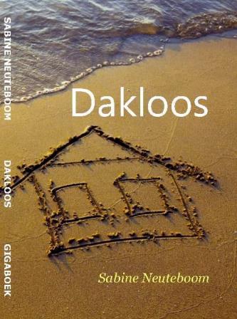 Omslag van Dakloos