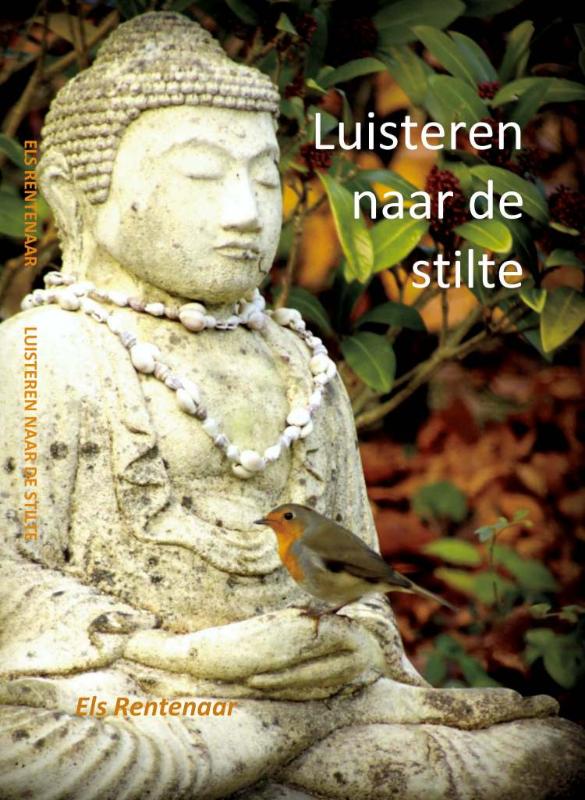 Omslag van Luisteren naar de stilte