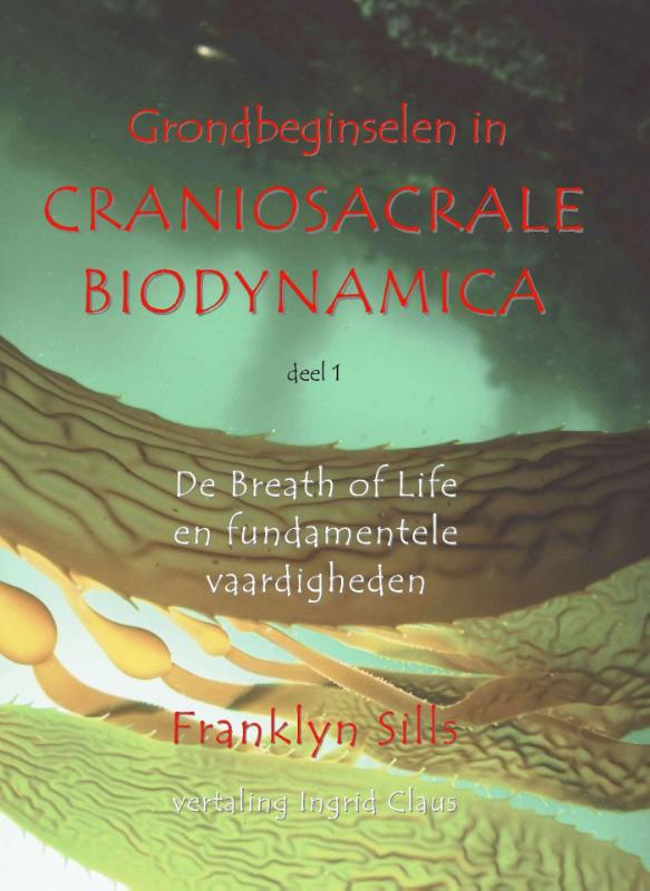 Omslag van Grondbeginselen in craniosacrale biodynamica