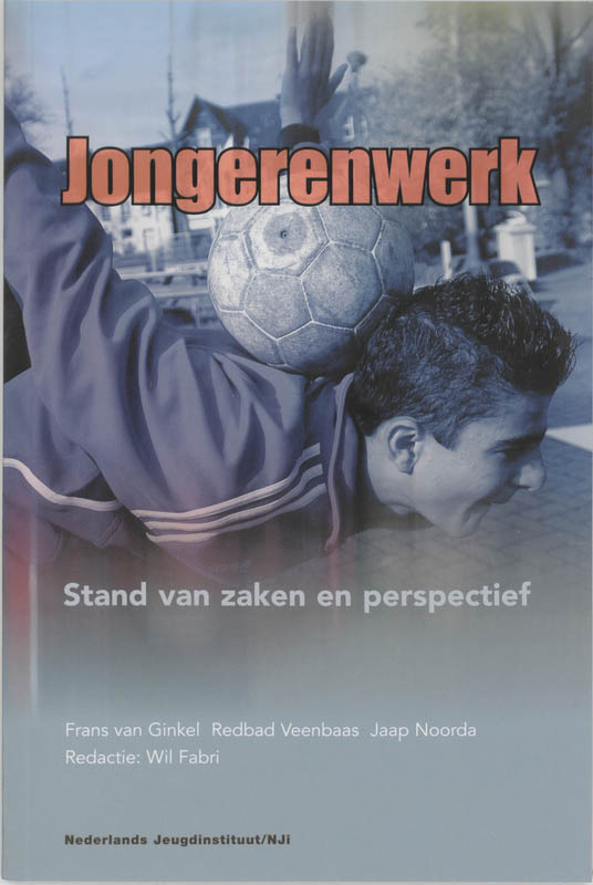 Omslag van Jongerenwerk in Nederland