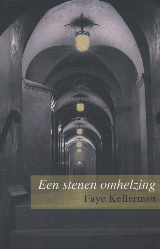 Omslag van Een stenen omhelzing