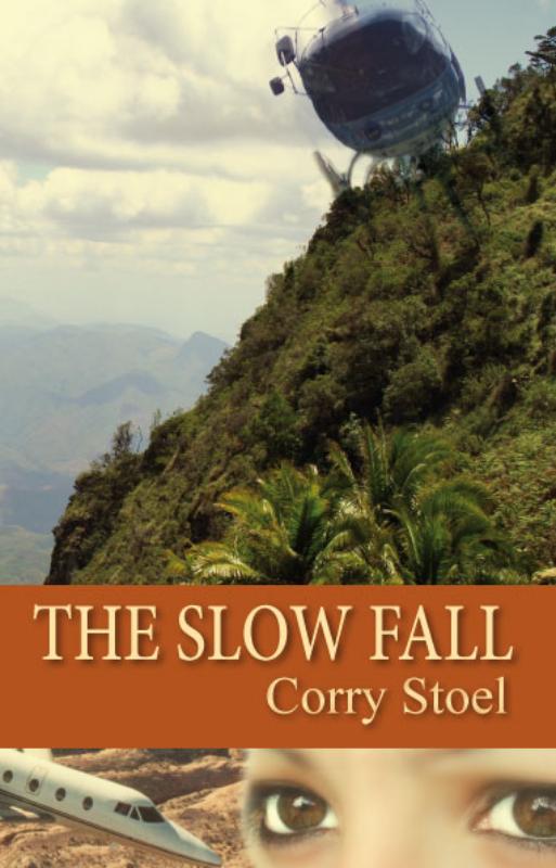 Omslag van The slow fall